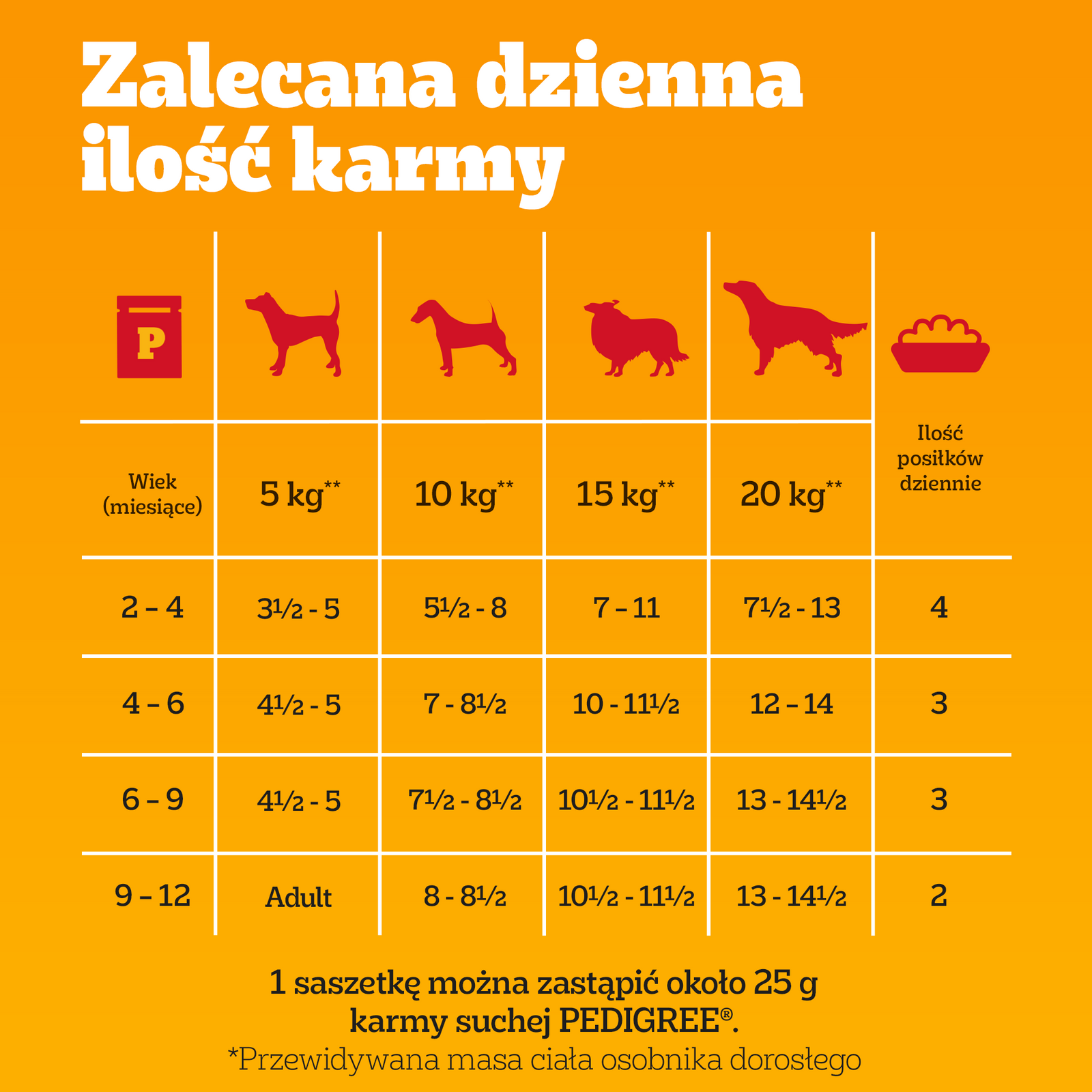 Pedigree Mokra Karma Dla Szczeniąt Mix Smaków Kurczak Z Ryżem, Jagnięcina Z Ryżem, Drób Z Ryżem I Wołowina Z Ryżem W Galaretce 12x100g