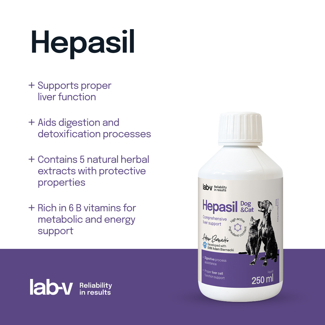 Lab-V Hepasil Dog & Cat Preparat Na Wątrobę Dla Psa I Kota 250ml