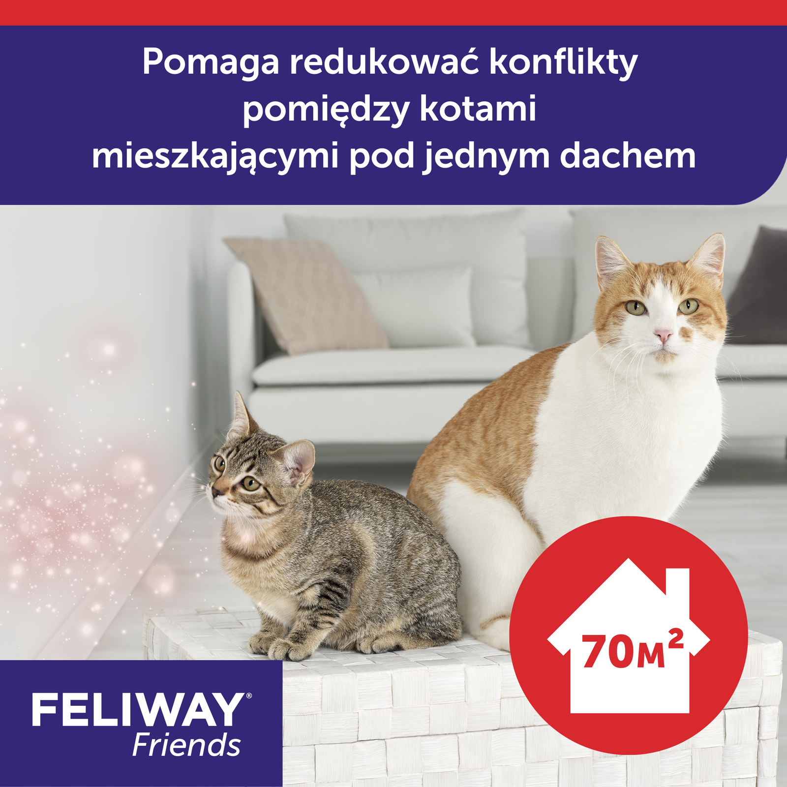 Ceva Animal Health Polska Sp. Z O.o Feliway Friends Wkład Dyfuzora 48ml