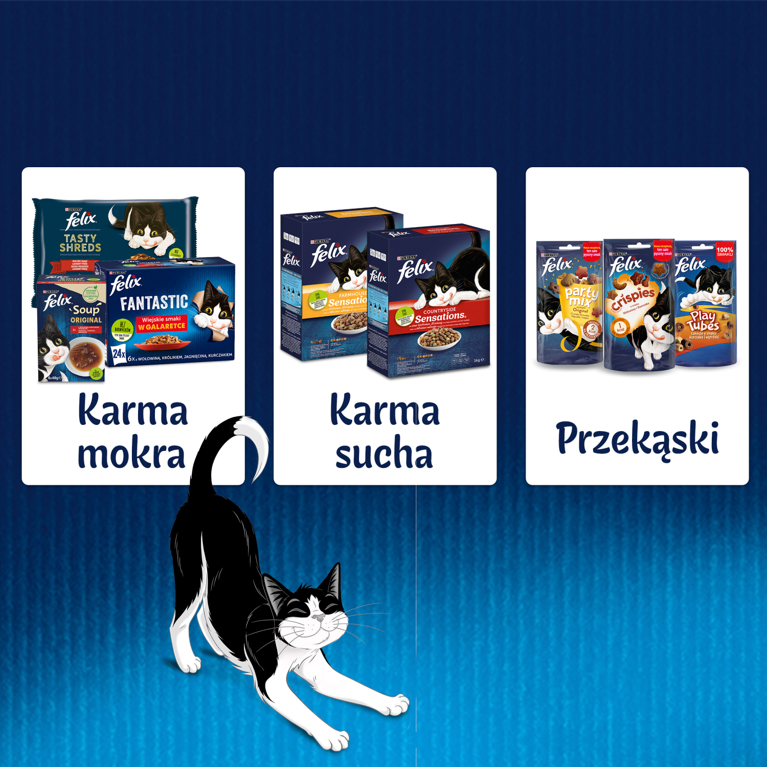 Felix Fantastic Wiejskie Smaki W Galaretce Z Łososiem I Pstrągiem 4x85g