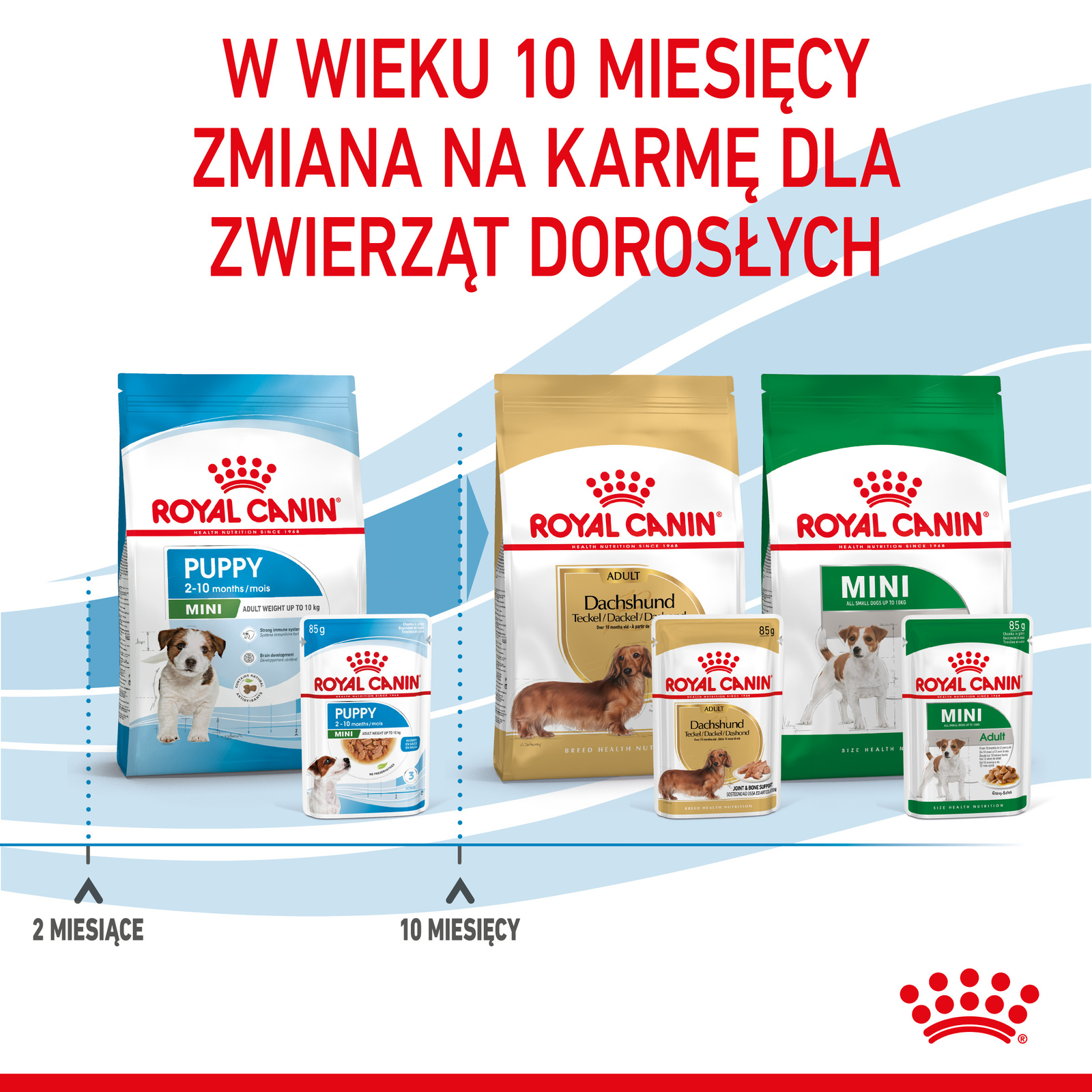ROYAL CANIN Mini Puppy 12x85g