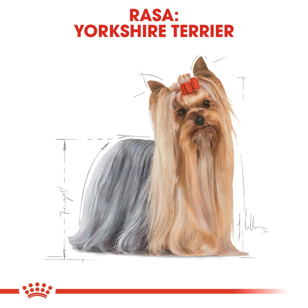 ROYAL CANIN Yorkshire Terrier Adult 1,5kg