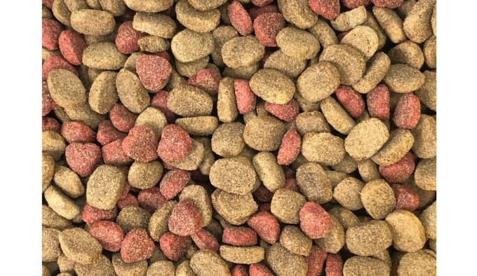 Dino Sucha Karma z Wołowiną dla Psów 20kg