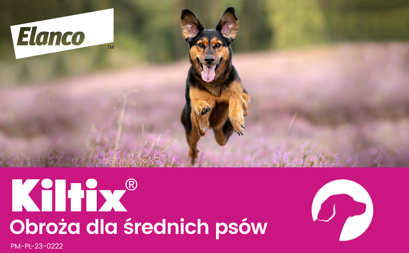 Bayer Kiltix Obroża Na Kleszcze I Pchły Dla Psa 53cm