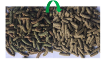 Versele-Laga Cuni Nature Original Pokarm Dla Królików 9kg