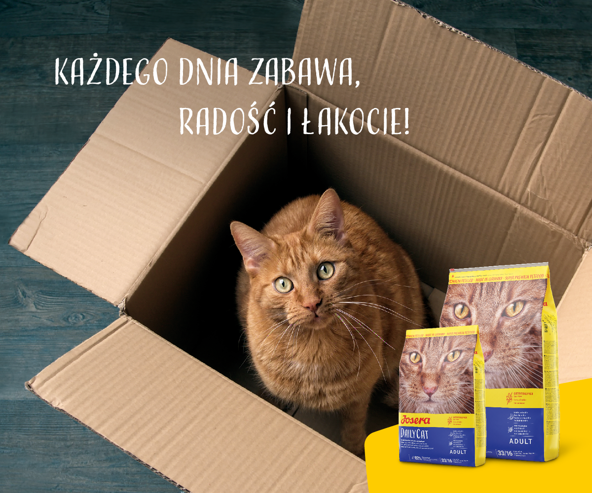 Josera Daily Cat 10kg