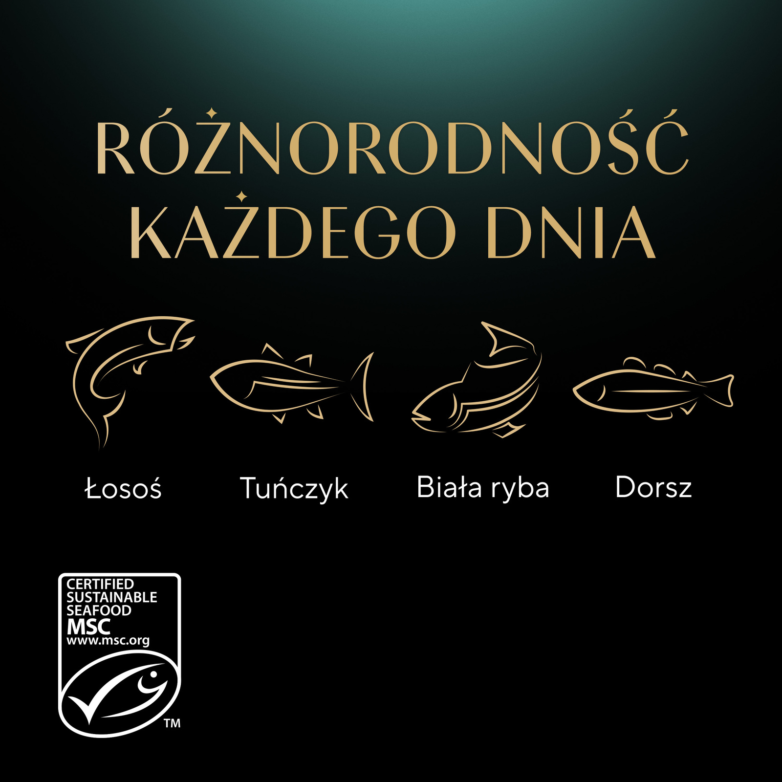Sheba Saszetka Selection In Sauce Smaki Rybne 4x85g