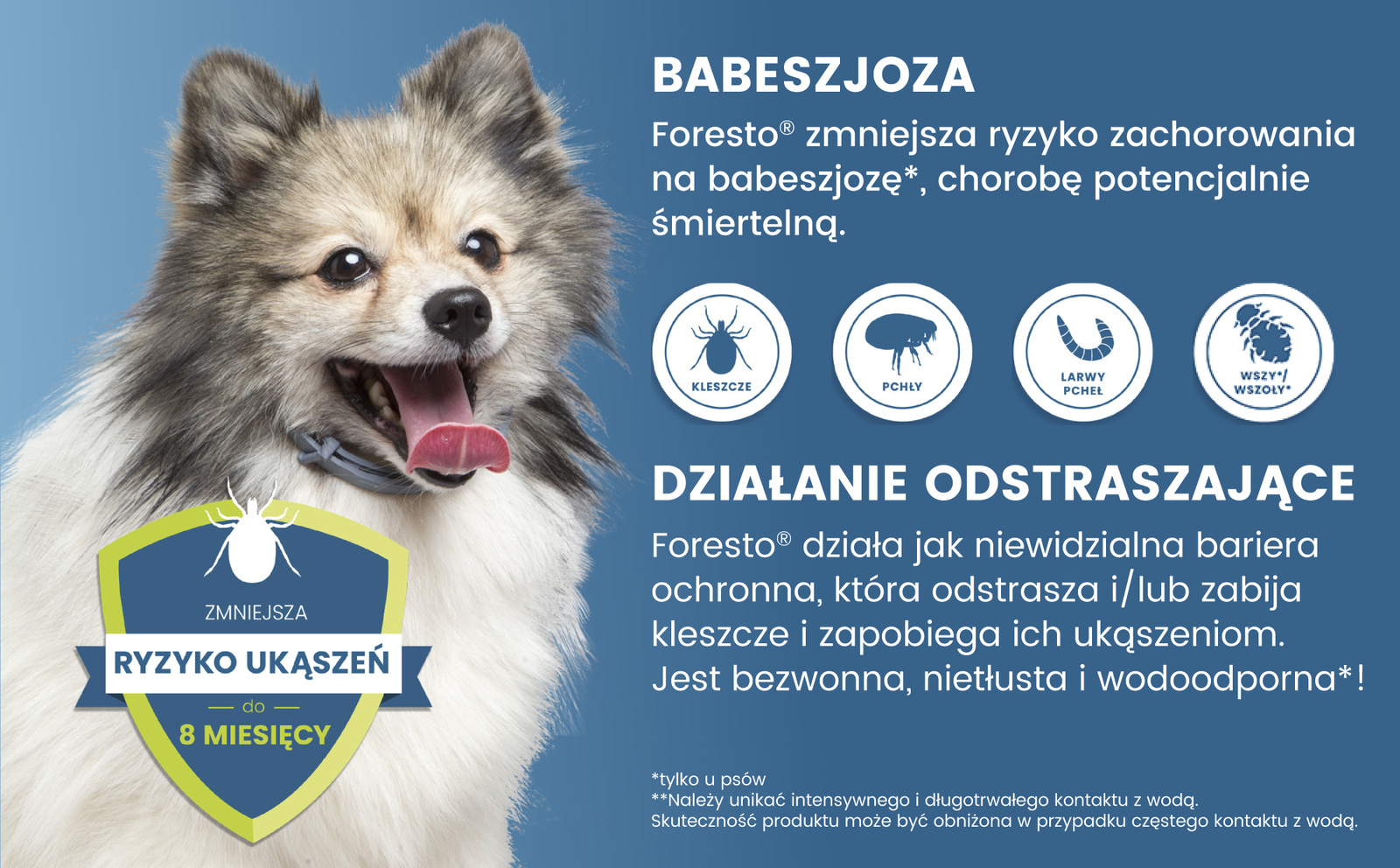 Bayer Foresto Obroża Dla Kotów I Psów 38cm