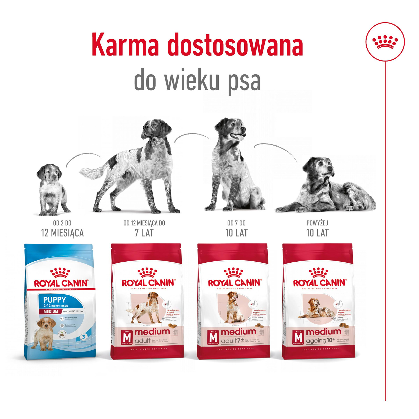 ROYAL CANIN Medium Ageing 10+ 15kg