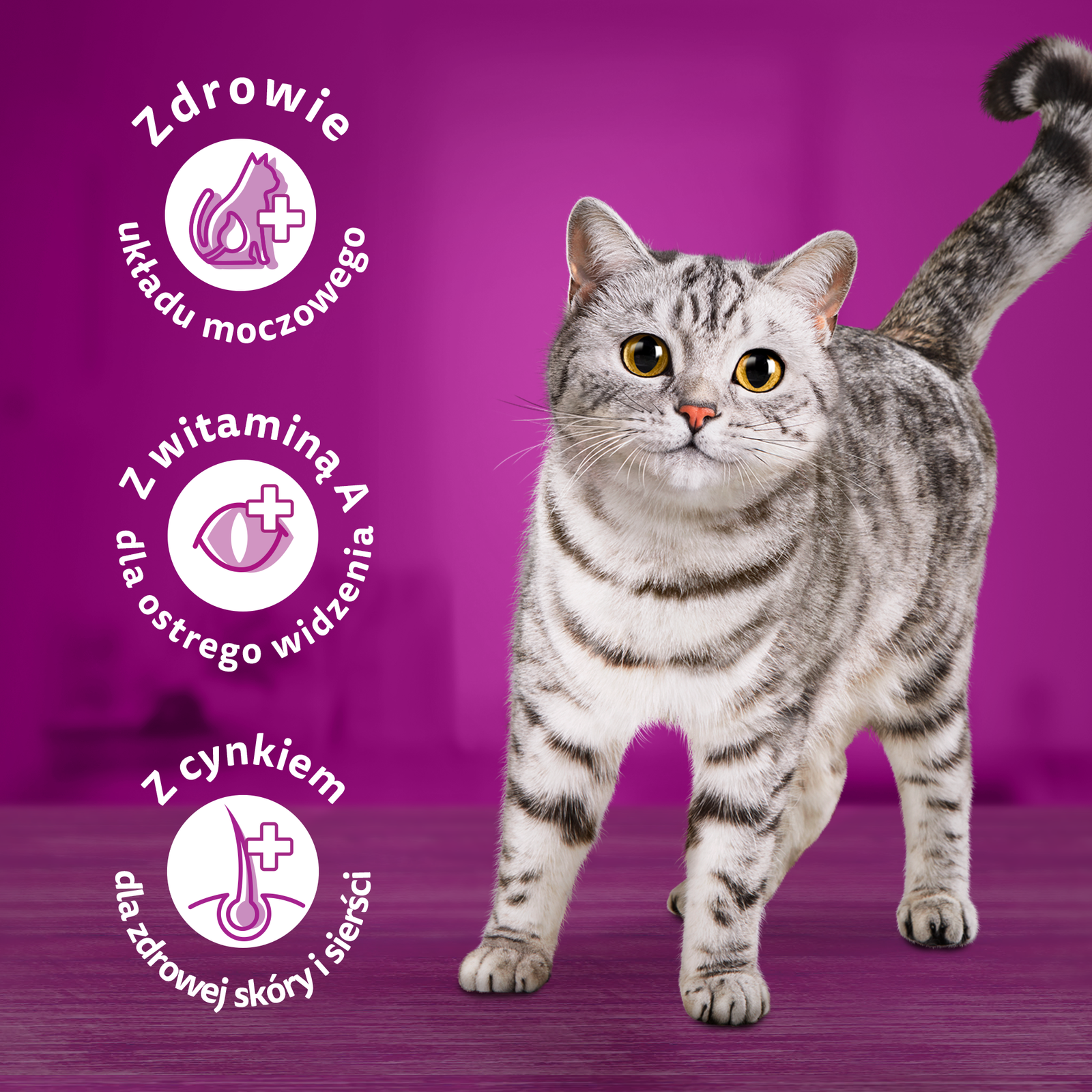 WHISKAS Sterile 1,4kg - sucha karma dla kotów po sterylizacji z kurczakiem