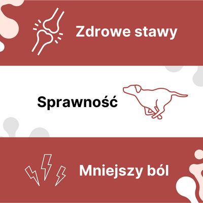 Arthrohard® Preparat Wspomagający Prawidłowy Rozwój I Funkcjonowanie Stawów U Psów I Kotów – Kolagen, Glukozamina, Chondroityna, MSM I Kwas Hialuronowy