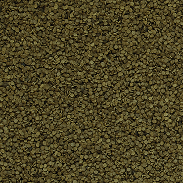 Tropical Spirulina Granulat 100ml
