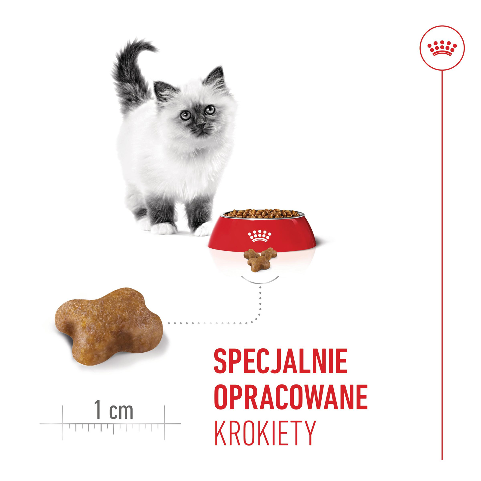 ROYAL CANIN  Kitten 2kg