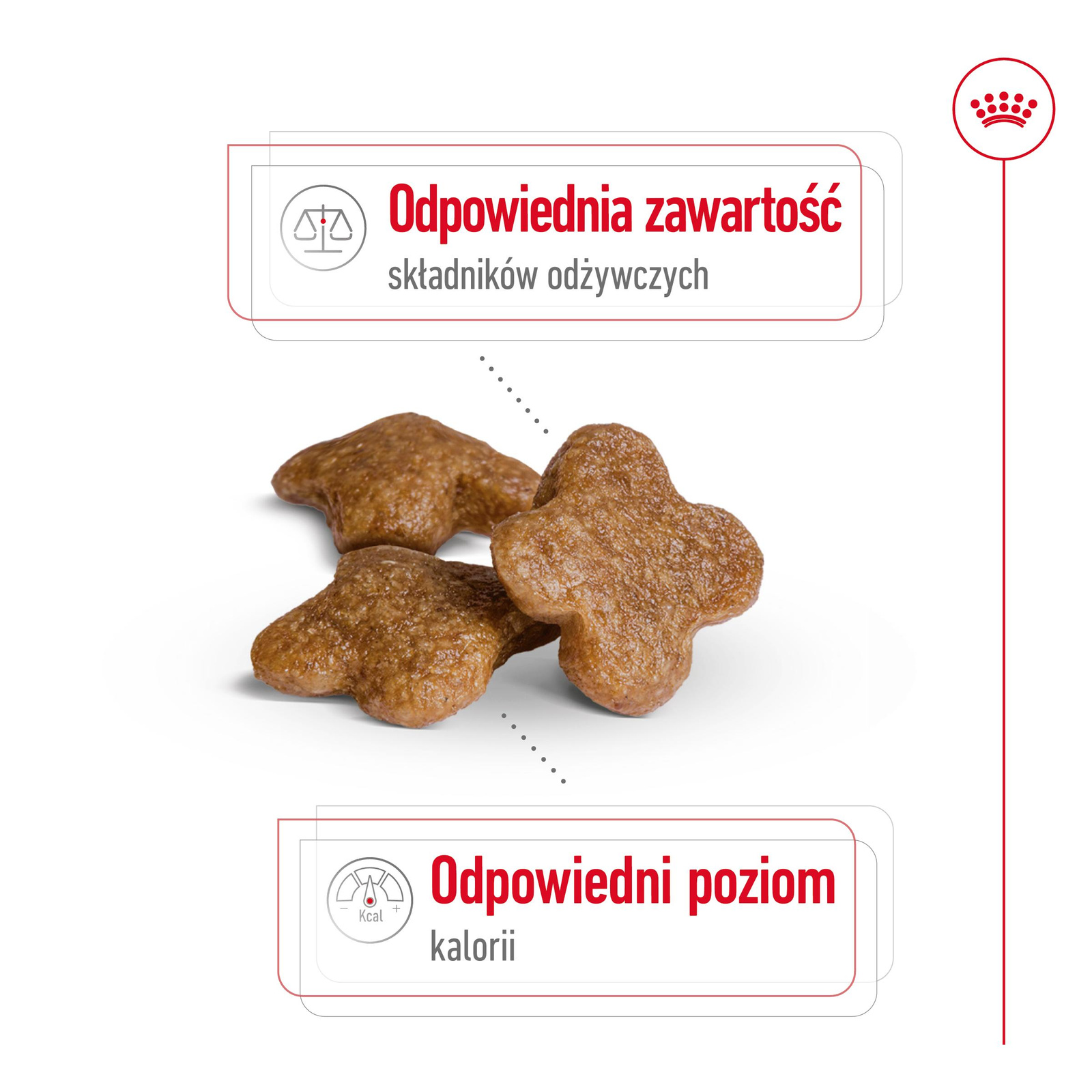 ROYAL CANIN Mini Adult +8 8kg