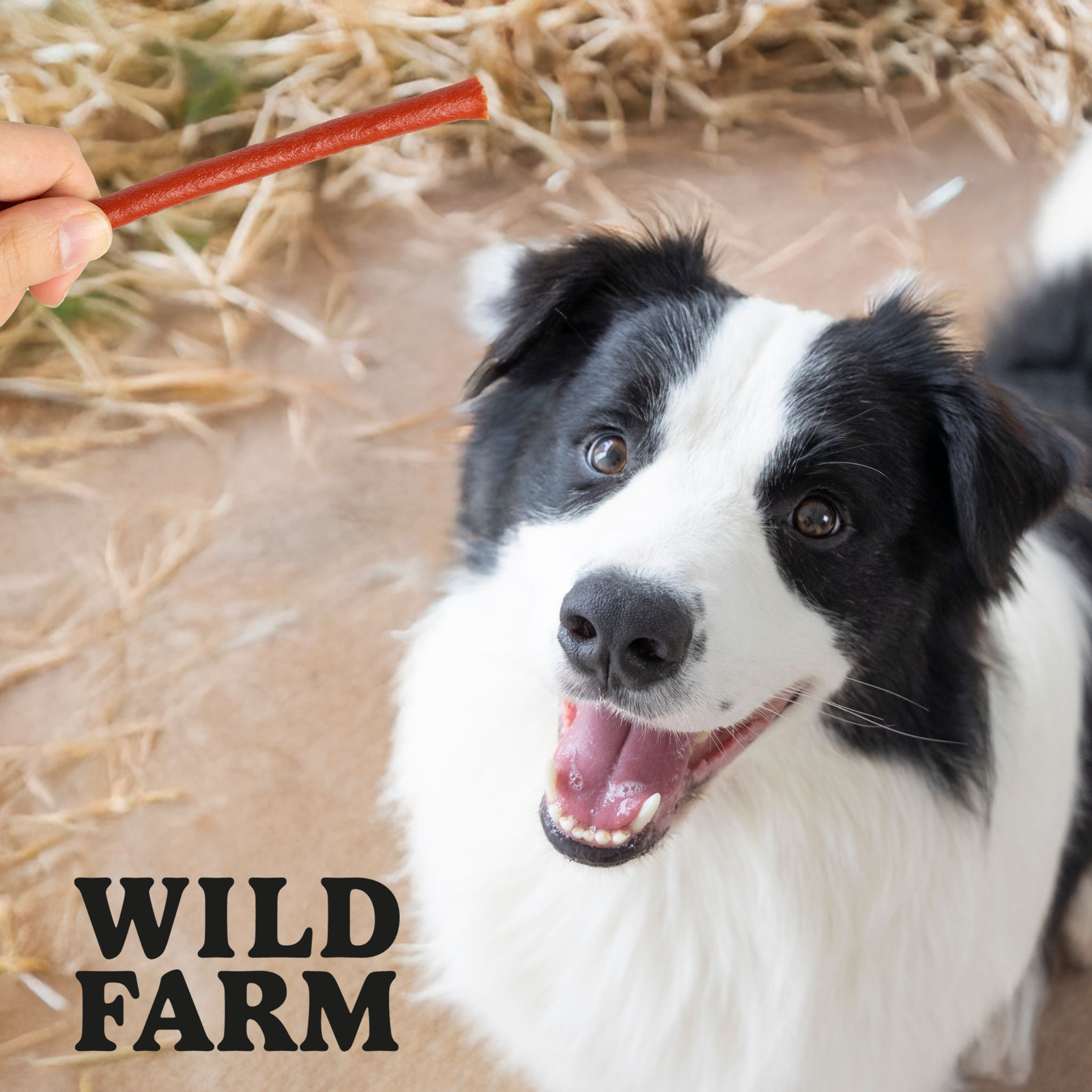 WILD FARM Paluszki Z Jagnięciny Przysmak Dla Psa 500G