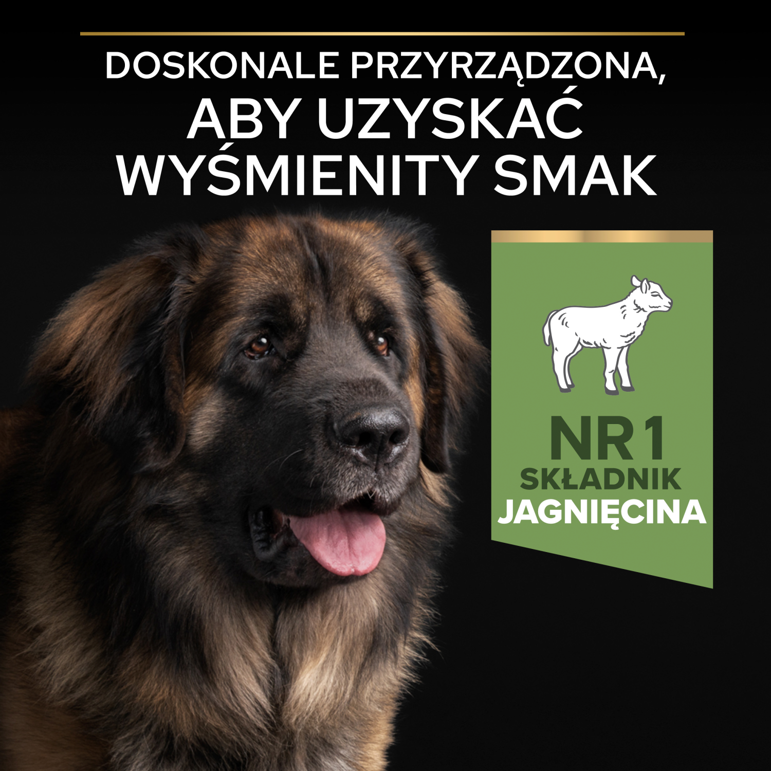 Purina Pro Plan Large Robust Optidigest Jagnięcina Z Ryżem 14kg
