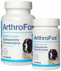Dolfos ArthroFos 90 Tabletek