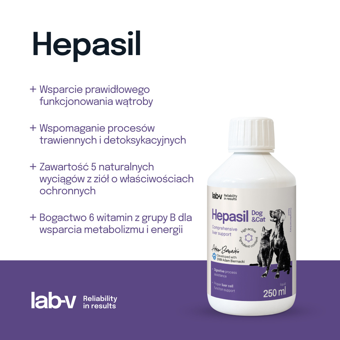Lab-V Hepasil Dog & Cat Preparat Na Wątrobę Dla Psa I Kota 250ml