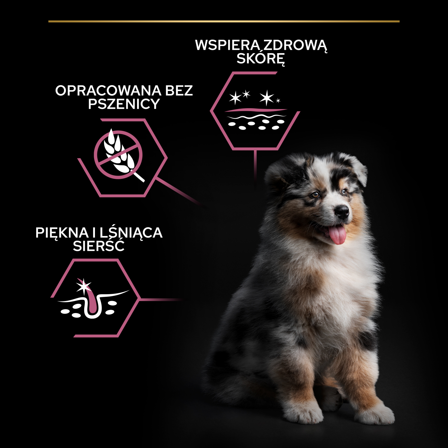 Purina Pro Plan Medium Puppy Sensitive Optiderma Łosoś I Ryż 12kg