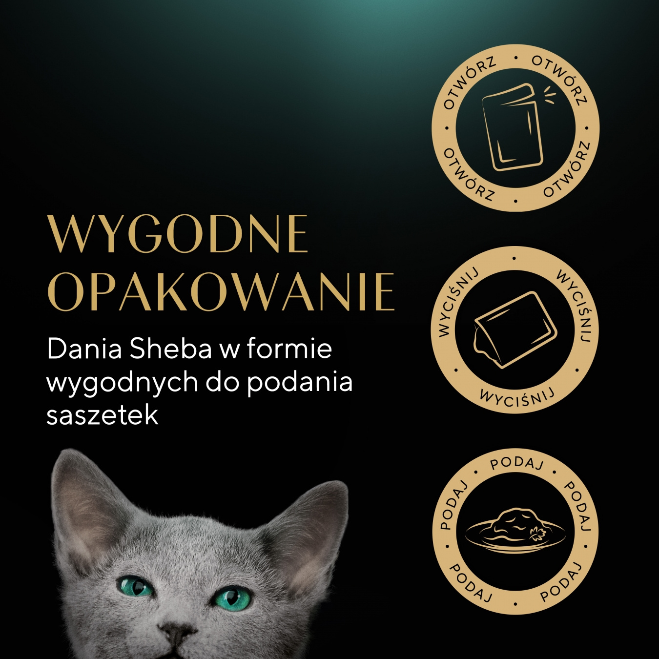 Sheba Kitten Wybór Smaków W Sosie Karma Dla Kociąt 40x85g