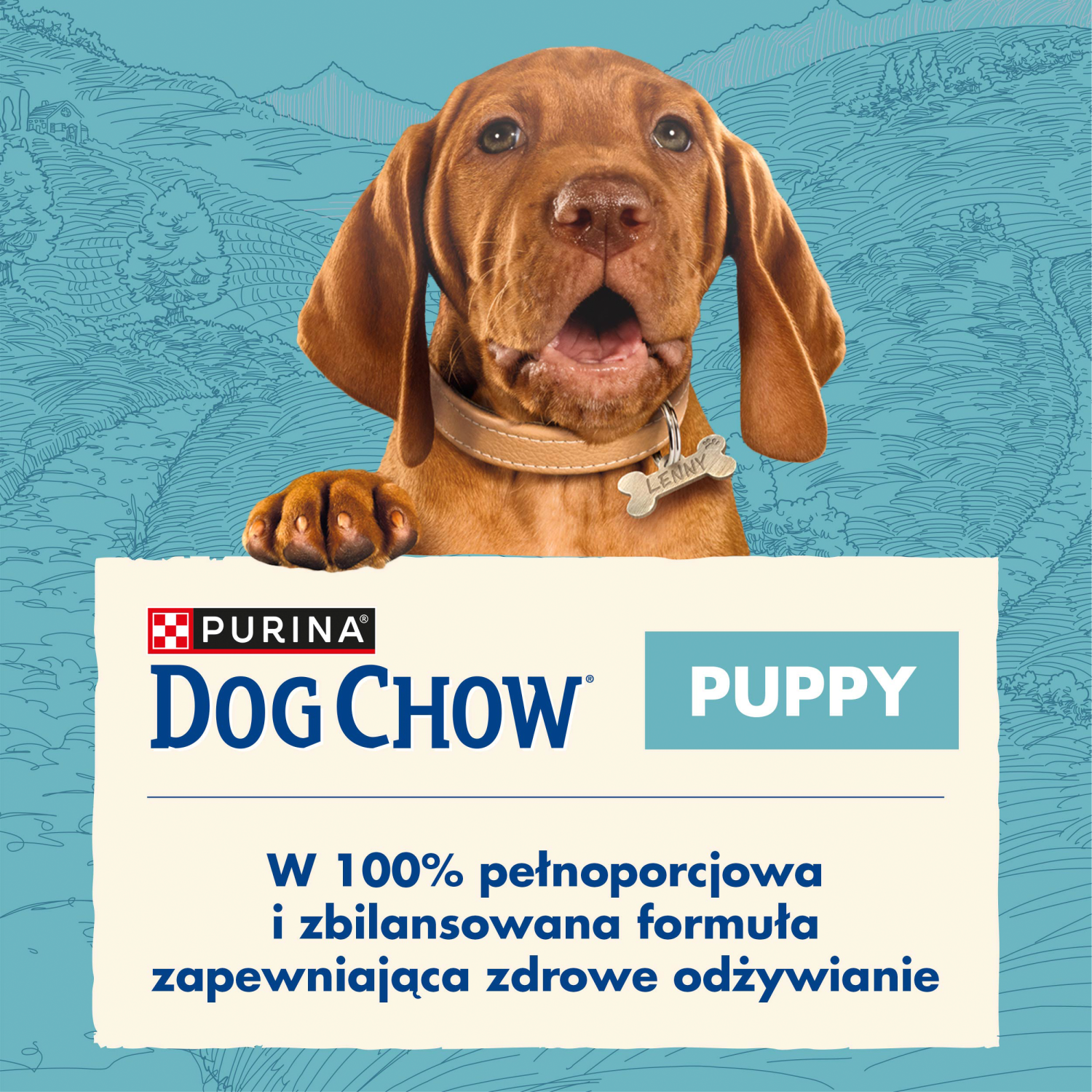 Purina Dog Chow Puppy Z Jagnięciną 14kg
