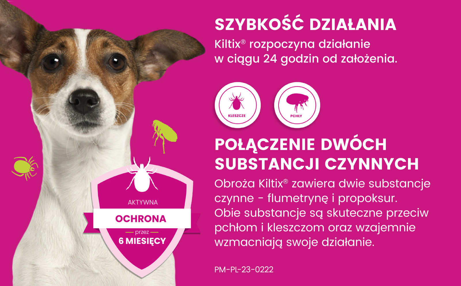 Bayer Kiltix Obroża Na Kleszcze I Pchły Dla Psa 38cm