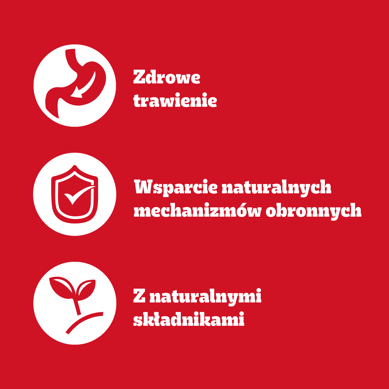 Pedigree Mokra Karma Dla Dorosłych Psów Z Wołowiną W Galaretce 1200g