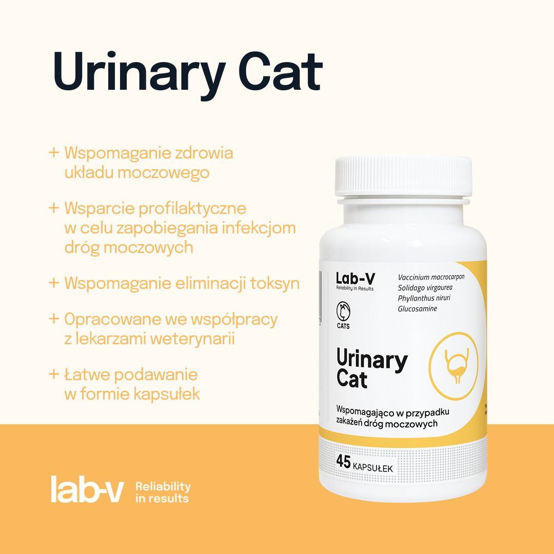Lab-v Urinary Cat Wsparcie Układu Moczowego Dla Kotów 45 Kapsułek