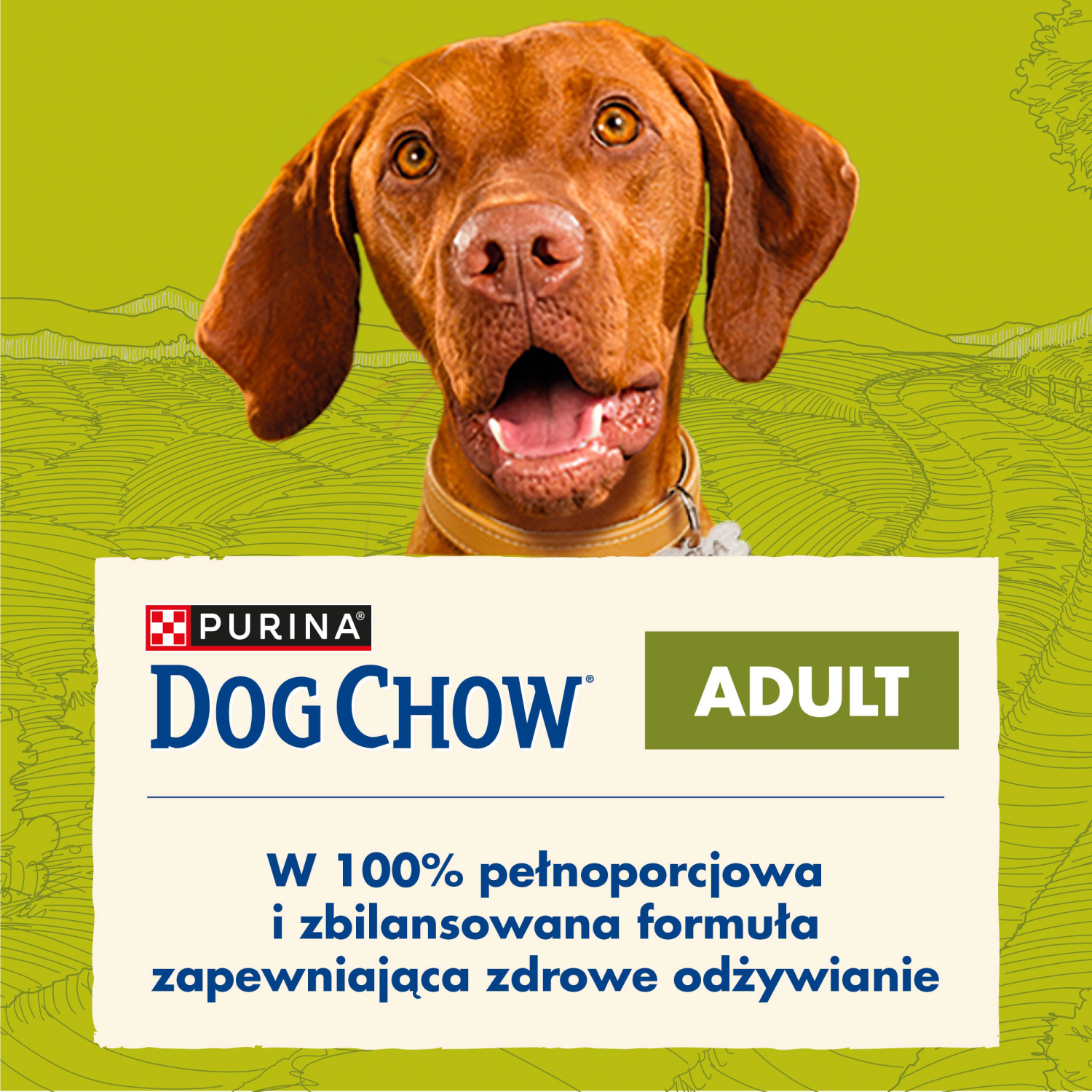 Purina Dog Chow Adult Z Kurczakiem 14kg