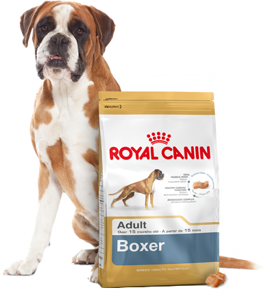 ROYAL CANIN Boxer Adult 12kg