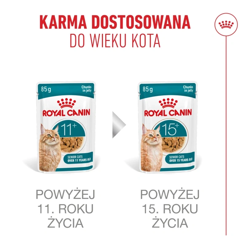 Royal Canin Senior Ageing 11+ — mokra karma w galaretce dla kotów starszych, 12 x 85 g