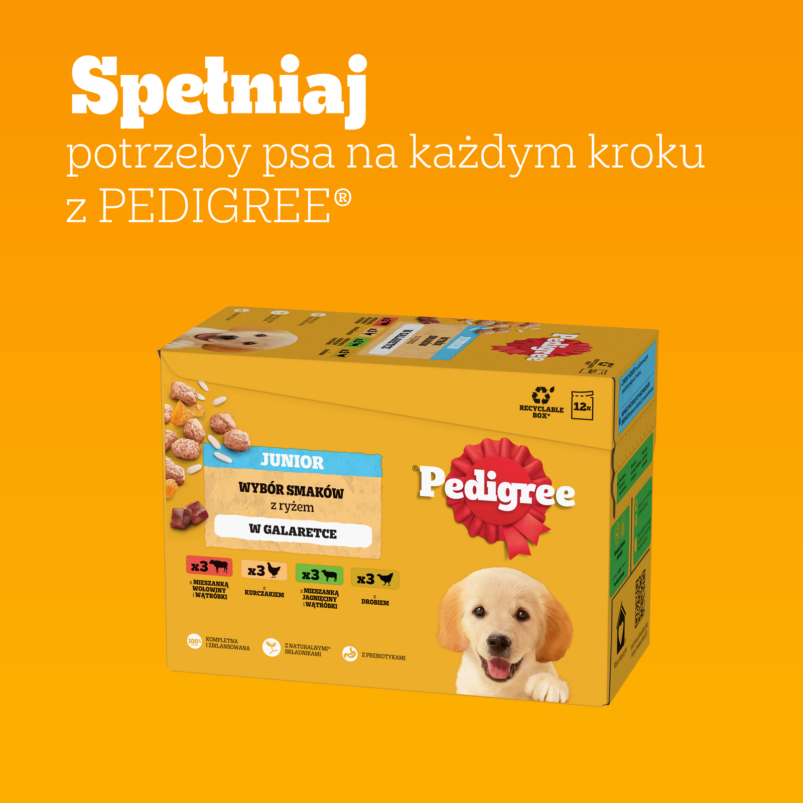 Pedigree Mokra Karma Dla Szczeniąt Mix Smaków Kurczak Z Ryżem, Jagnięcina Z Ryżem, Drób Z Ryżem I Wołowina Z Ryżem W Galaretce 12x100g