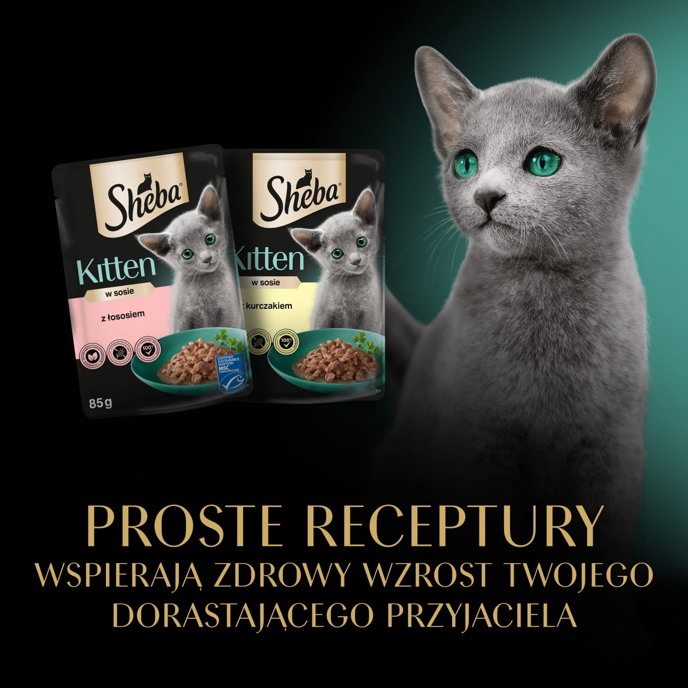 Sheba Kitten Wybór Smaków W Sosie Karma Dla Kociąt 40x85g