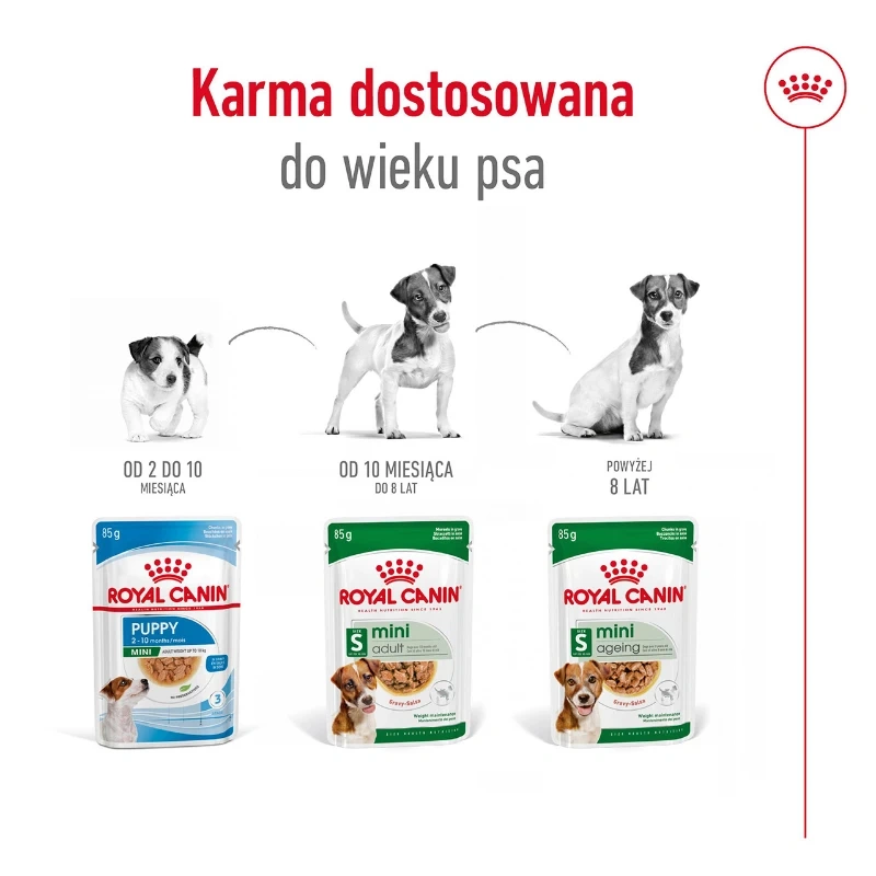 ROYAL CANIN Mini Ageing 12+ 12x85g