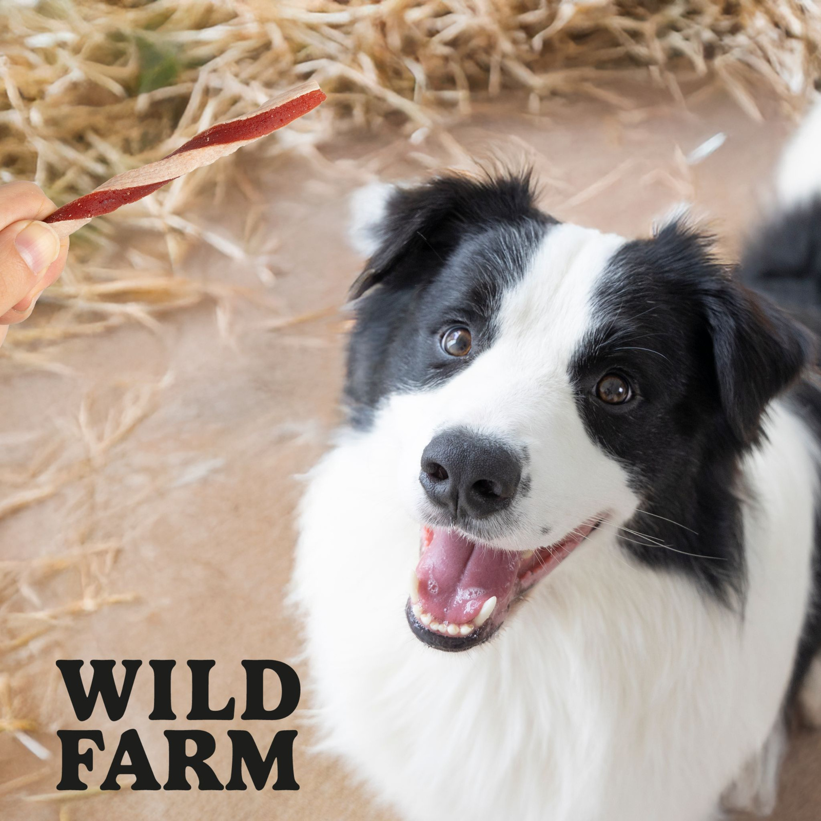 Wild Farm Kanapka Z Kaczką 500g Przysmak Dla Psa