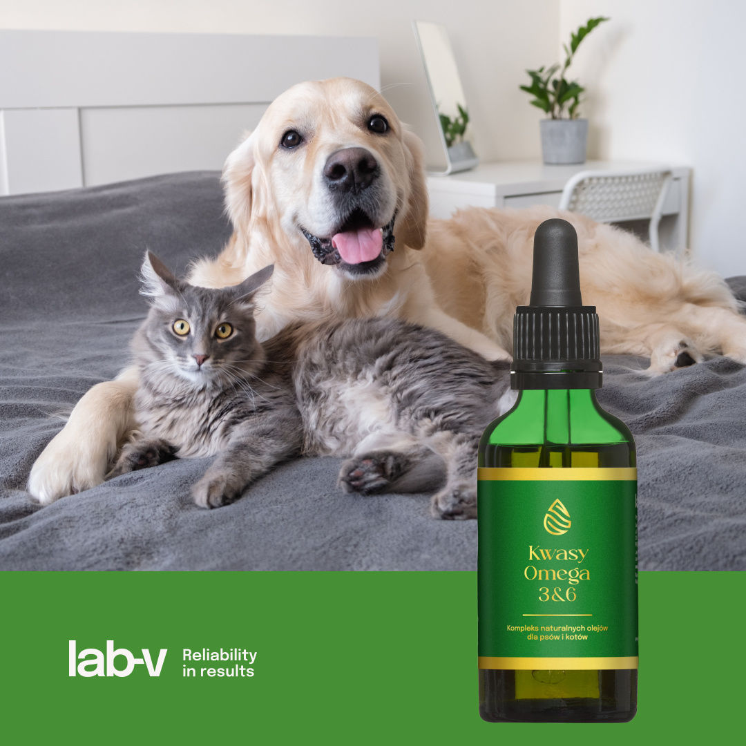 Lab-v Kwasy Tłuszczowe Omega 3 i 6 stosowane na ogólną poprawę stanu zdrowia oraz sierści i skóry dla psów i kotów 100ml