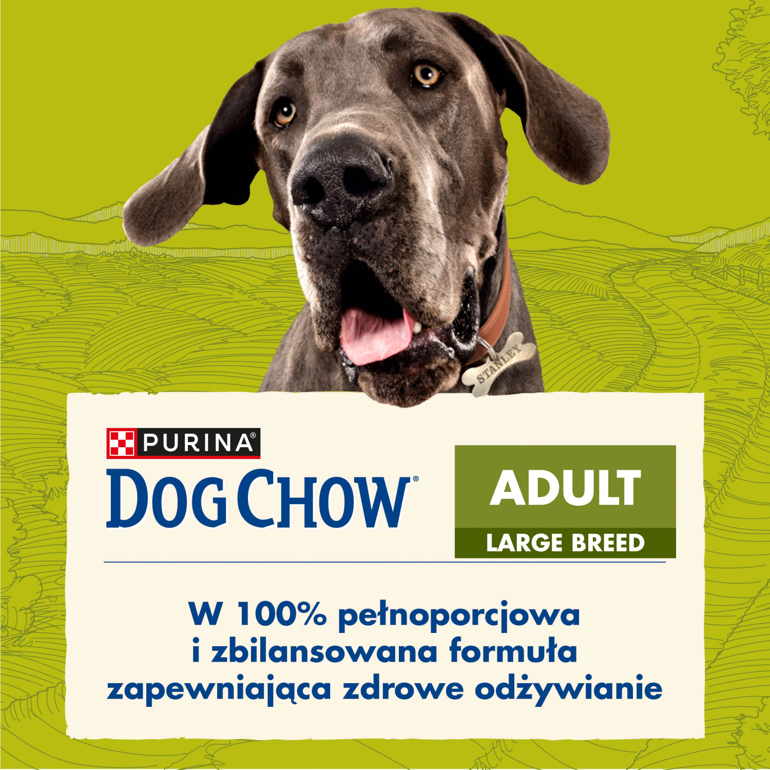 Purina Dog Chow Large Breed Adult Z Indykiem 14kg