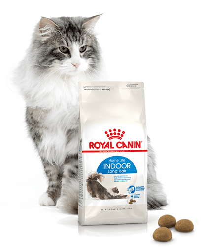 ROYAL CANIN Indoor Long Hair 10kg