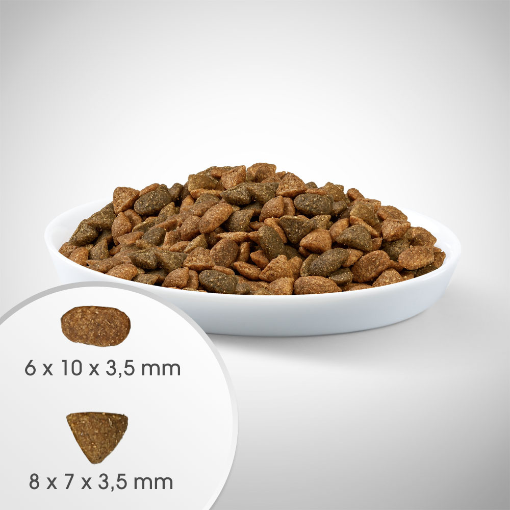 ittenFit Junior Kurczak 7 kg – pełnoporcjowa sucha karma dla kociąt