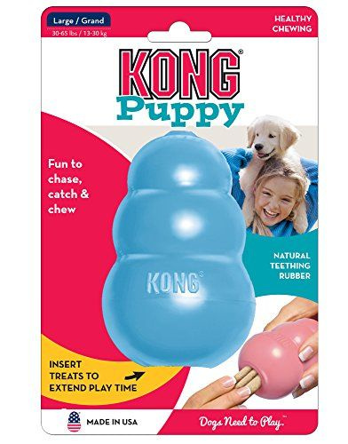 KONG Company Puppy S