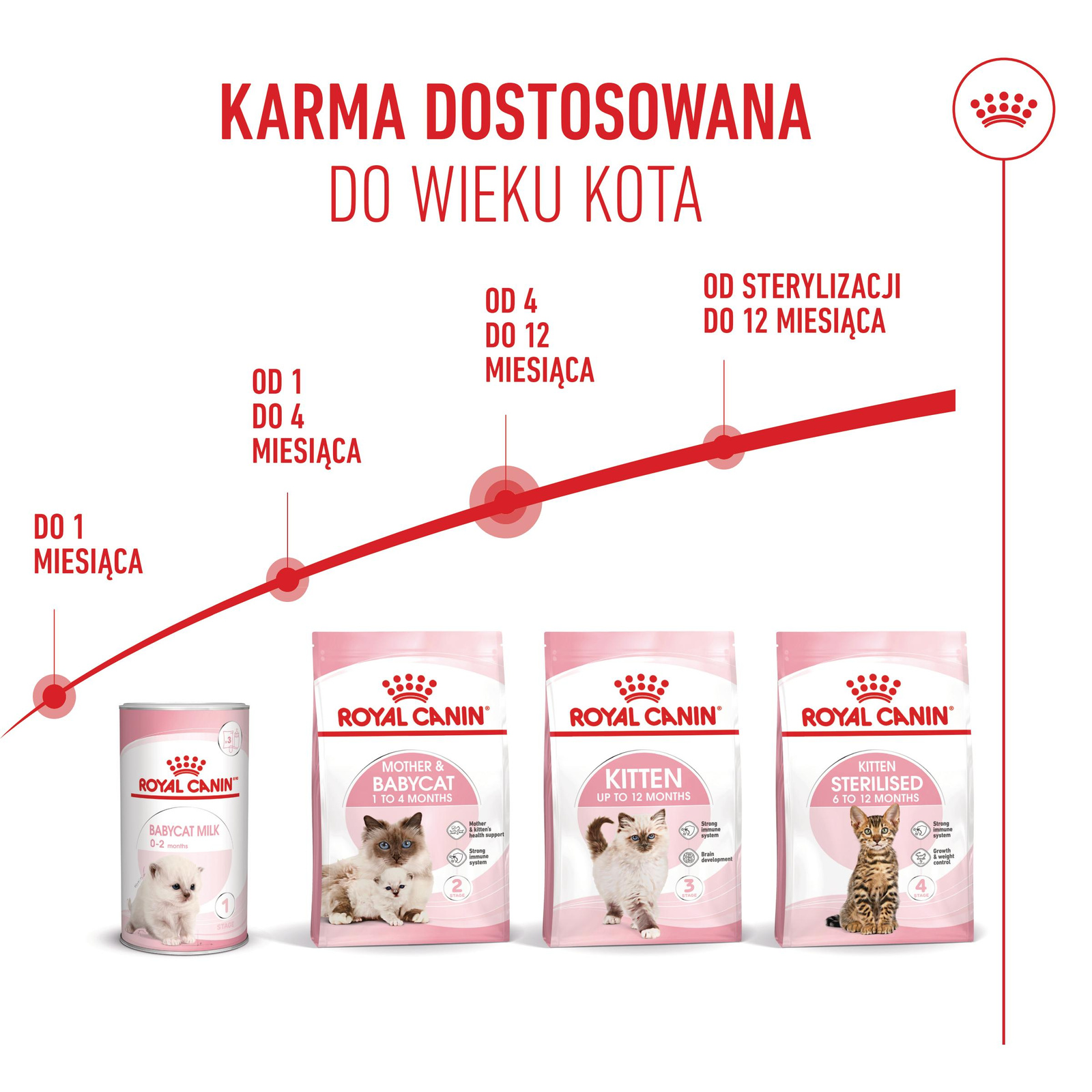 ROYAL CANIN  Kitten 2kg