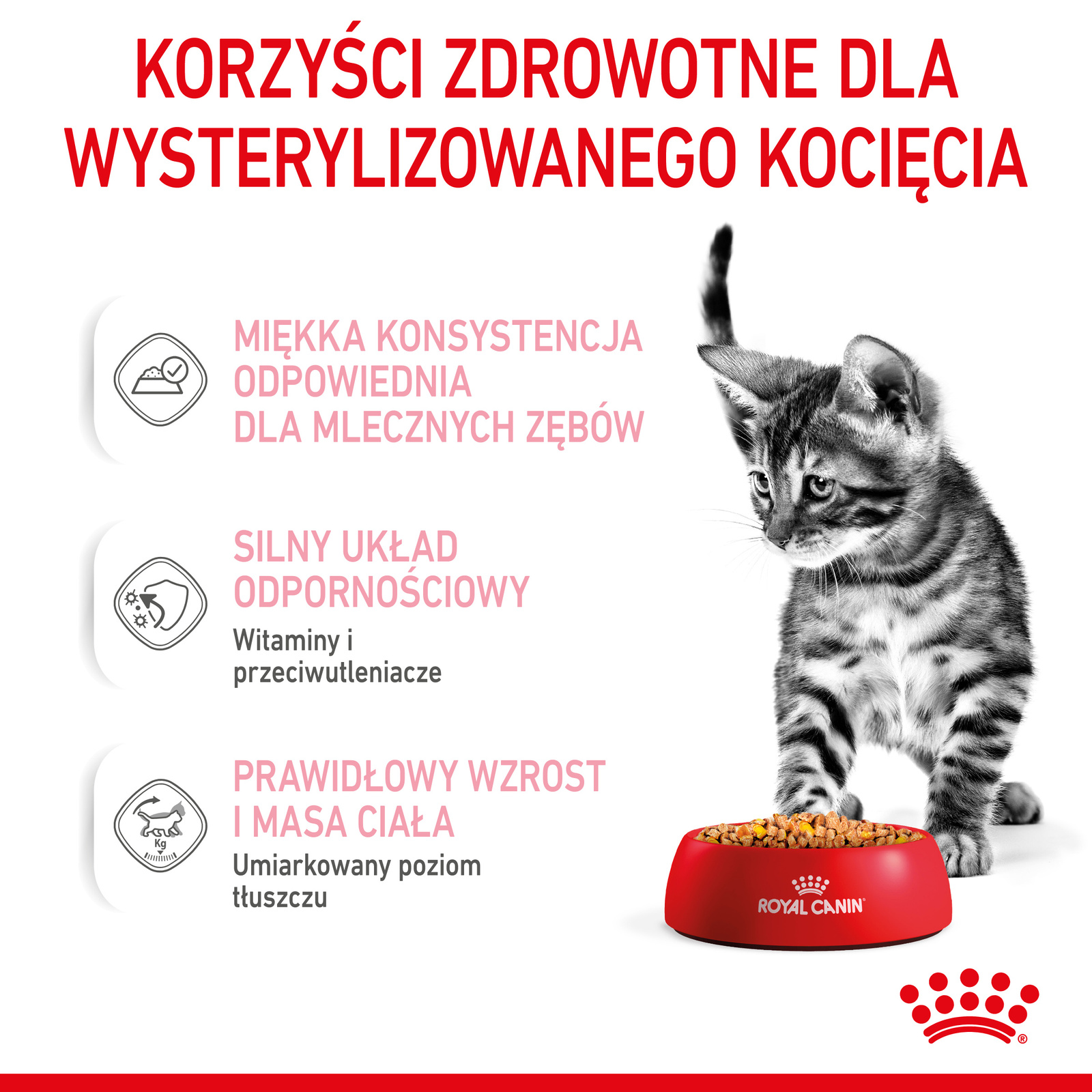 ROYAL CANIN Kitten Sterilised Gelee 12x85g