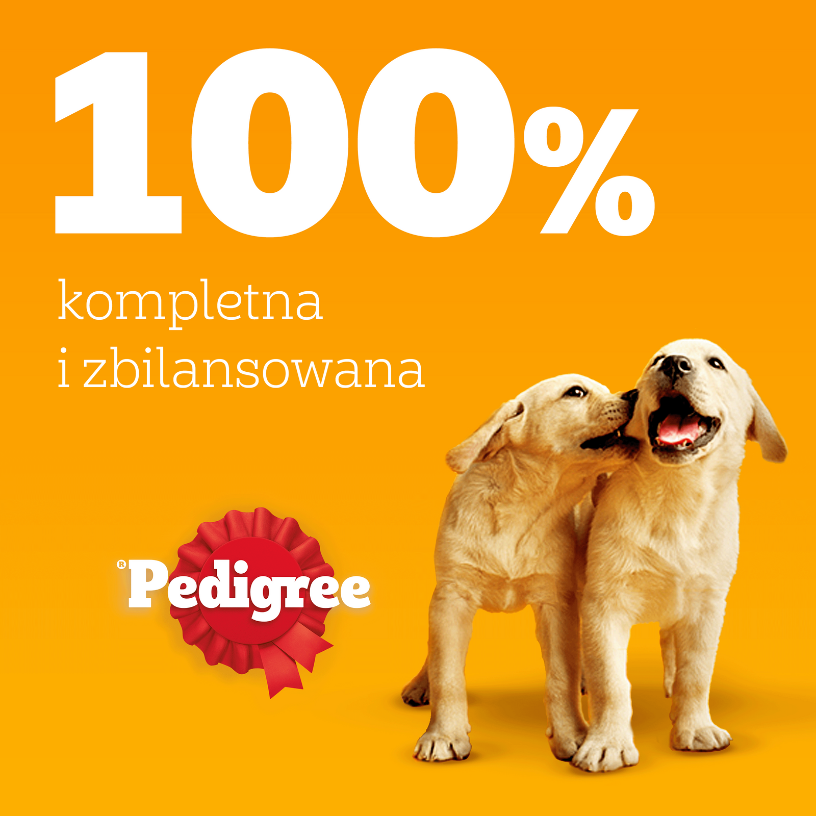 Pedigree Mokra Karma Dla Szczeniąt Mix Smaków Kurczak Z Ryżem, Jagnięcina Z Ryżem, Drób Z Ryżem I Wołowina Z Ryżem W Galaretce 12x100g