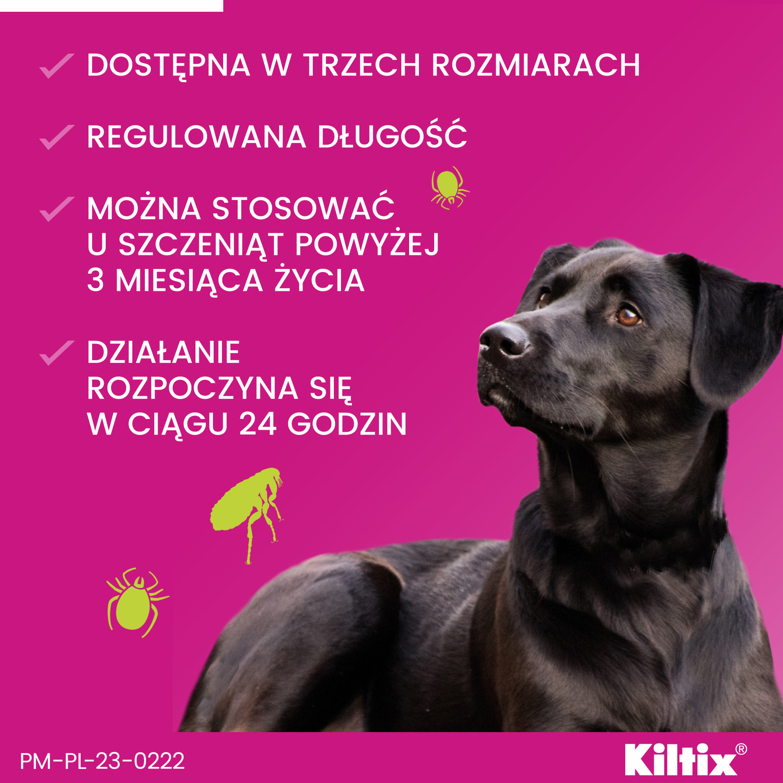 Bayer Kiltix Obroża Na Kleszcze I Pchły Dla Psa 70cm