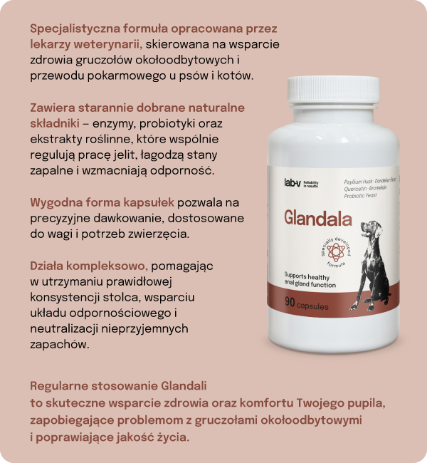 Lab-v Glandala Wsparcie Gruczołów Okołoodbytowych i Przewodu Pokarmowego 90 Kapsułek