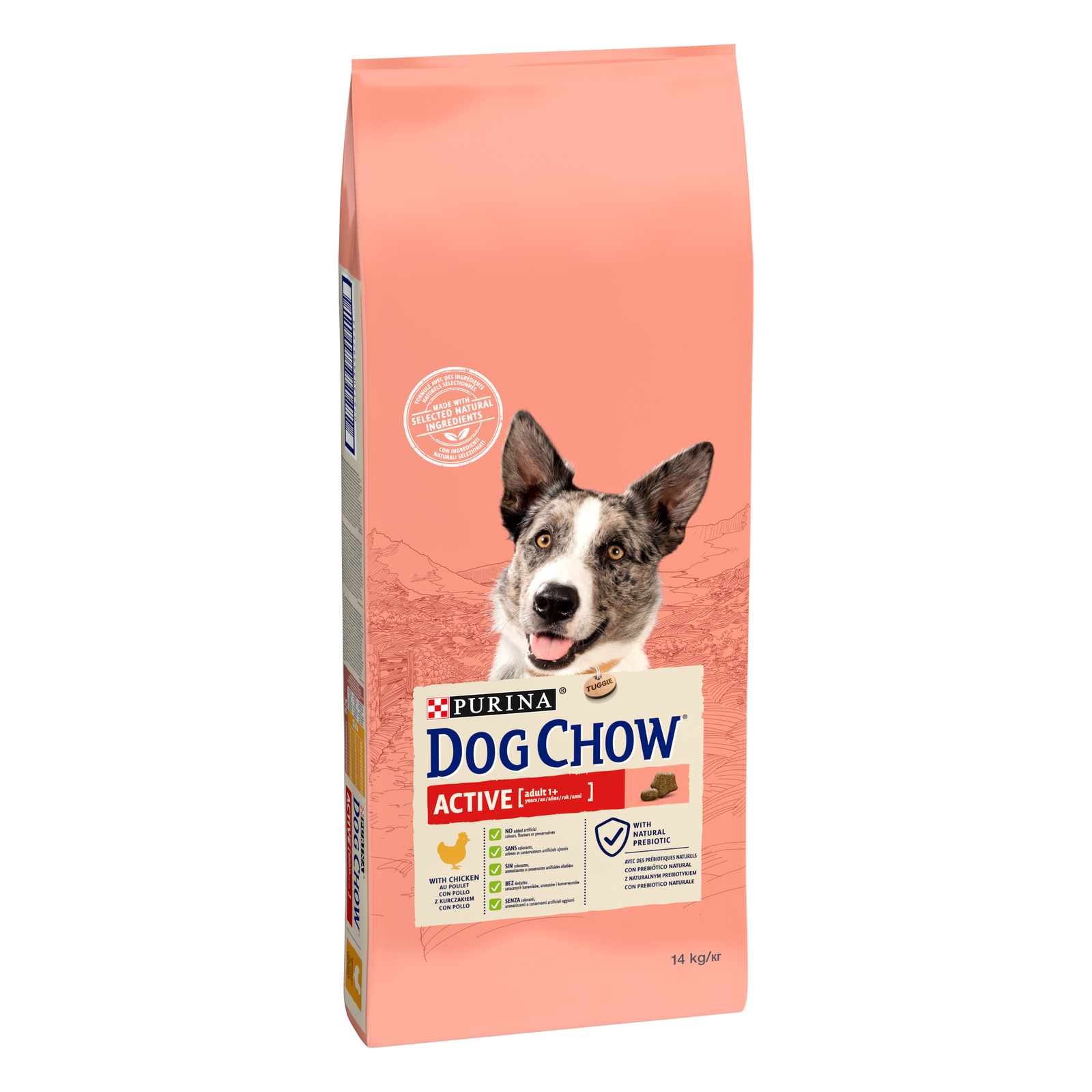 Purina Dog Chow Active Adult Z Kurczakiem 14kg