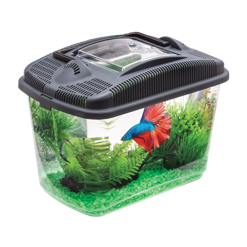 AQUAEL Akwarium Betta Kit Dla Bojownika 3l