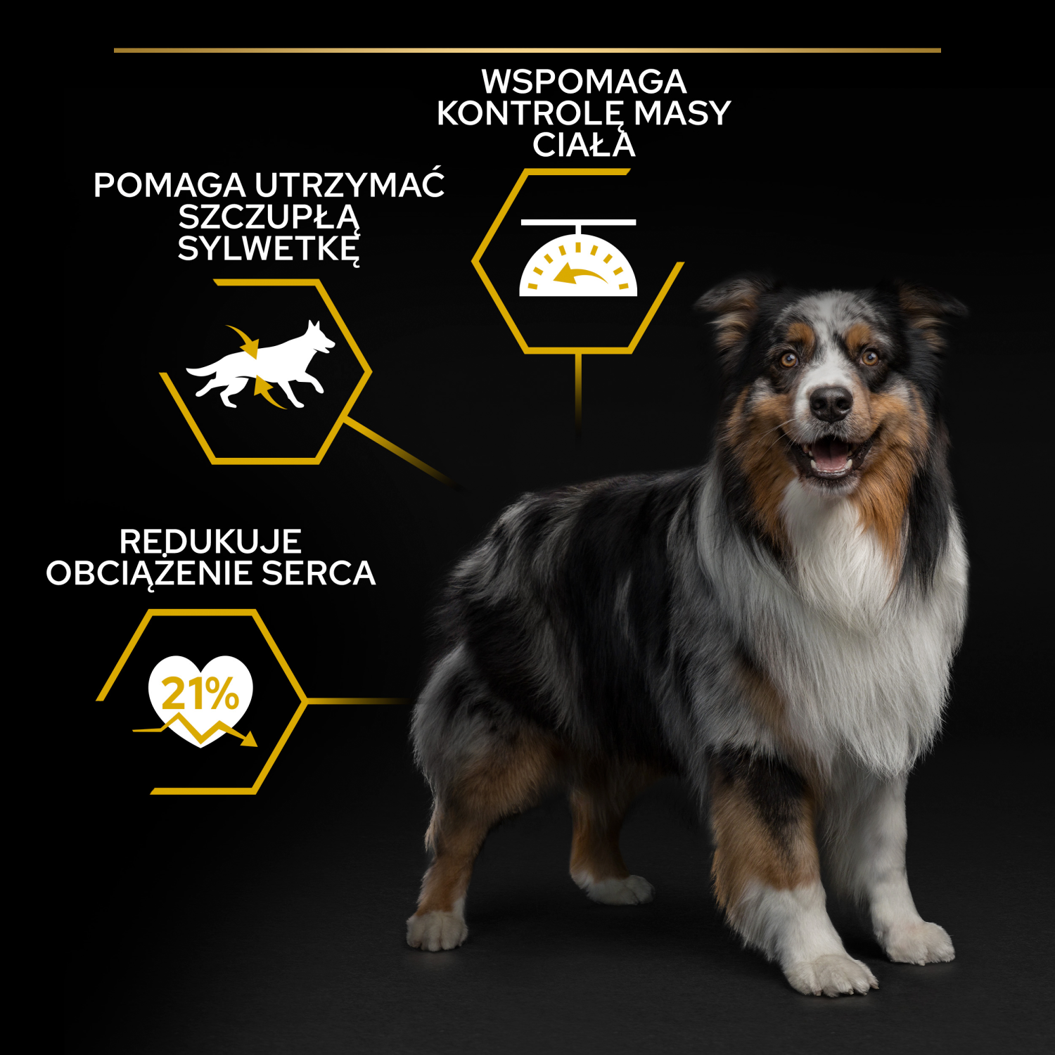 Purina Pro Plan Adult Light Optiweight Sterilised Kurczak I Ryż 14kg