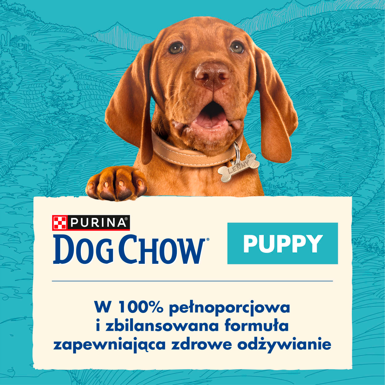 Purina Dog Chow Puppy Z Kurczakiem 14kg