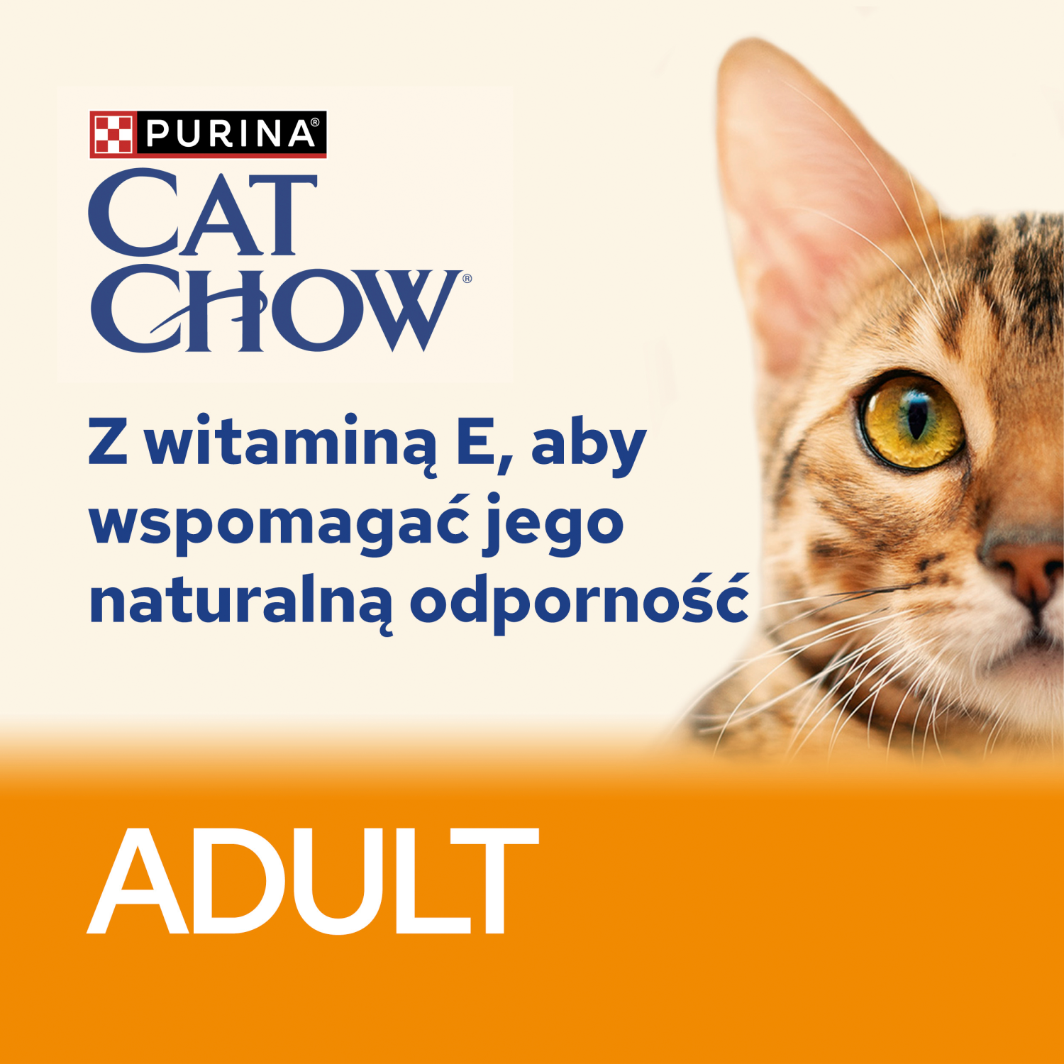 Purina Cat Chow Adult Jagnięcina I Zielona Fasolka 85g